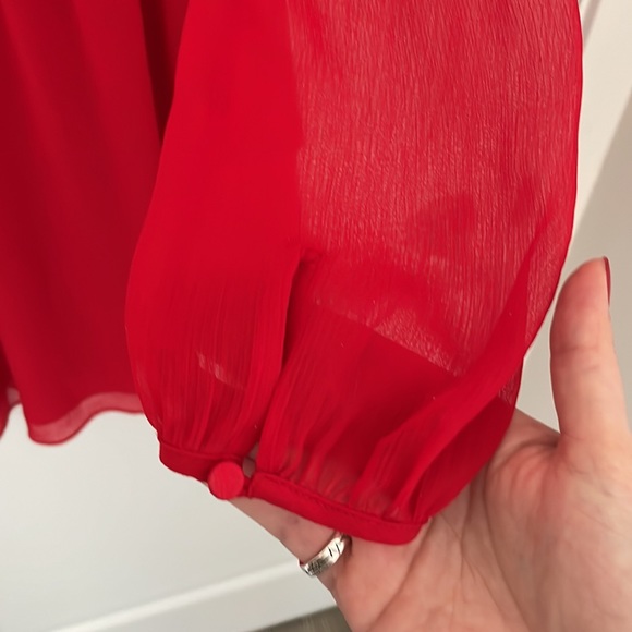 Little Moon (Aritzia) red dress with sheer sleeves. - Picture 3 of 3